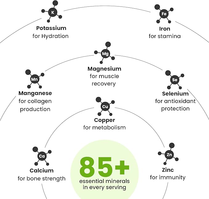 Better Alt Pure Himalayan Shilajit Gummies with 100% Shilajit |High Potency Gold Grade| 60 Gummies for Energy Boost & Immune Support, 75%+ Fulvic Acid| Travel Friendly - Tamarind Flavor