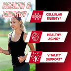 DEDICAD 11in1 NAD Supplement with Nicotinamide Riboside, Quercetin, Resveratrol and 8 More - 2 Month Supply