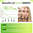 Sublingual NMNH 500mg (480-Day Supply, 500mg per Serving) NMNH(Dihydronicotinamide Mononucleotide)，NAD Supplement for NAD Levels as We Age, for Anti-Aging, Energy, Immunity, Focus - 480 Count