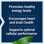 Life Extension L-Carnitine – 500 mg, Energy Supplement, Memory Supplement – Free Form Amino Acid, Nitric Oxide Support, Healthy Blood Pressure – Gluten-Free, Non-GMO, Vegetarian – 30 Capsules