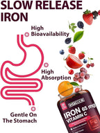 Iron Supplement for Women Men, High Potency Iron 65mg with Vitamin C 250mg, Stomach Friendly Iron Pills for Red Blood Cell & Immune Support, Vegan, Non-GMO & Gluten Free, 30 Tablets