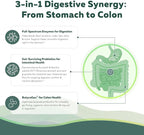 Flora Digest - 3-in-1 Max Strength Digestive Enzymes + Gut Surviving Probiotics & ButyraGen® Postbiotic for Optimal Digestion, Bloating Relief, Regularity, Gut Lining & Colon Support - (60 Capsules)
