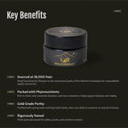 Lajit Gold Grade Himalayan Shilajit Resin – Organic, Sun-Dried, Bioavailable Nutrients, Fulvic Acid | Lab Tested Pure Shilajit for Men & Women - Natural Energy, Vitality, 85 + Trace Minerals - 20g