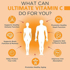 OmniBiotics Ultimate Vitamin C Supplement 2000mg – with Zinc, Elderberry Extract, and D3 – High Potency Immune Support & Collagen Booster – 120 Vegan Tablets
