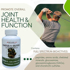 Bricker Labs Joint Comfort and Sugar Balance | Omega Cyclo Mussel for Joint Health + Big-V Triple Strength Vanadyl for Blood Sugar Support