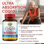 Terranics CoQ10 200mg, Coenzyme Q10 Supplement with Extra Virgin Olive Oil for Enhanced Absorption, Made in USA, Supports Heart Health, Antioxidant Protection, Energy Production, Non-GMO, 120 Softgels