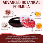 2 Pack Astaxanthin 12mg,Premium Astaxanthin Antioxidant Supplements with Antioxidant Activity, Supports Eye, Immune, Joint, Skin Health, Internal Circulation