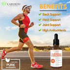 Liquid Turmeric Curcumin with Bioperine for Enhanced Absorption - Turmeric Curcumin Supplement for Joint Support - Turmeric Extract with Black Pepper - 2 Month Supply - 4oz