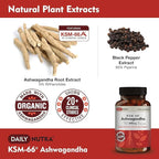 DailyNutra KSM-66 Ashwagandha 600mg Organic Root Extract - High Potency Supplement with 5% Withanolides | Relieves Tiredness, Supports Relaxation, Focus, Energy, & Muscle Growth (60 Capsules)