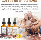 Antioxidant Powerhouse Bundle - Elderberry, Raw Vitamin C, Mushroom Complex - Nutriments, Phytonutrients & Cognitive Well-Being All in One Package - Multivitamins - 2 Fl Oz - 240 Days Supply