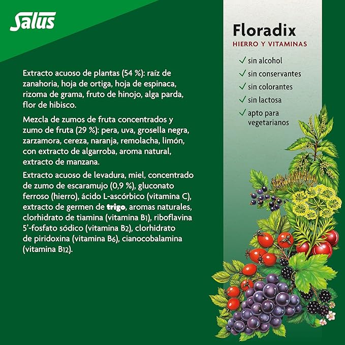 Floradix Liquid Iron and Vitamin Formula 250ml