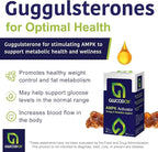 Volt03 Turmeric Curcumin (60 Capsules) + GlucodOX AMPK Activator (60 Capsules) – Complete Wellness Bundle for Joint Health, Metabolic Balance, Energy & Immune Support with Organic Ingredients