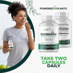 Pure Berberine Supplement - 1300mg Berberine with Ceylon Cinnamon for Metabolism & Immune System Support - 5 Pack, 300 Servings