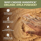 HANDPICK Organic Amla Powder (14oz) Amalaki, USDA Organic, Non-GMO | 100% Raw and Natural - Lab Tested for Purity | Indian Gooseberry Powder | Resealable Zip Lock Pouch