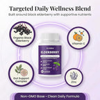 Elderberry - EIvera Gut Support Complex, Organic Black Elderberry Capsules, with Zinc & Vitamin C for Digestive Balance, Immune Support (1)