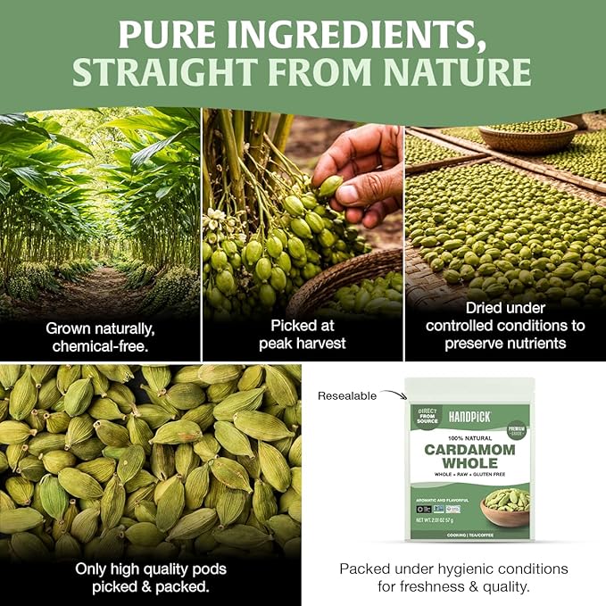 HANDPICK Green Cardamom Pods (57g / 2oz) Large size Green Elaichi | Pure, Non-GMO, Gluten Free | 100% Raw from India | Resealable Zip Lock Pouch