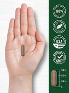 Carlyle Pycnogenol 100mg | 30 Capsules | French Maritime Pine Bark Extract | Pinus Pinaster | Non-GMO and Gluten Free Supplement