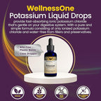 WellnessOne Ionic Potassium Supplement - Potassium Chloride Drops for Fast Absorption - Boost Immune System & Muscle Function - USA Tested, Vegan, Non-GMO, Gluten Free, Unflavored, 1.67 fl oz