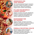 5-in-1 Organic Turmeric Curcumin Supplement (4210mg) with Berberine, Ceylon Cinnamon Bioperine and Ginger Supplements for Joint, Heart, Gut, & Metabolic Support (60 Servings) (Pack of 4)