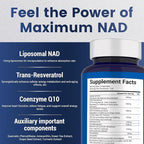NAD+ Supplement 120 Capsules – Liposomal NAD+ with Resveratrol for Cellular Energy & Daily Vitality – High Absorption Formula for Men & Women – Vegan, Non-GMO, Gluten-Free