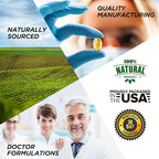 PhiNaturals Milk Thistle Extract Capsules Supplement Liver Detox 260mg Silymarin 30:1 Extract Equivalent to 7800mg Milk Thistle Seeds Liver Detox Silimarina