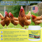 Selenium & Vitamin E Powder for Chickens, Selenium for Chickens, Immune System, Muscle Support & Prevents, Improve Wry Neck, Selenium, Vitamin E Supplements, Suitable for All Poultry, Chicken & More