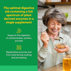 Natural Factors, High Potency Multi Enzyme Vegetarian Formula, Plant-Based Digestive Aid, 120 Capsules