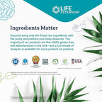 Life Extension 99mg Potassium with Extend-Release Magnesium 250mg, 100 Veg Caps - Gluten-Free – Non-GMO – Vegetarian Supplement for Men and Women - Dual-Action Mineral Formula