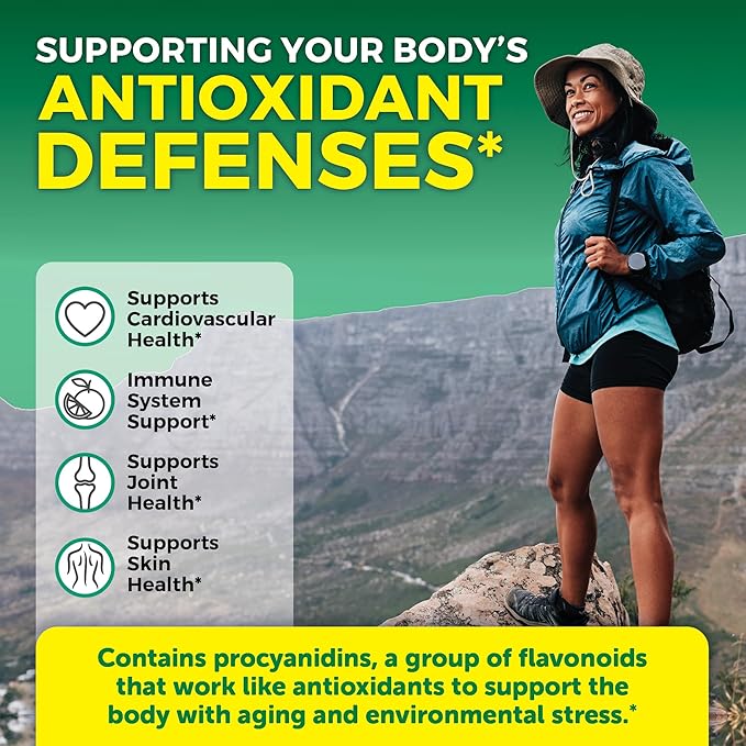 Viva Naturals Pycnogenol - 100mg French Maritime Pine Bark Extract – Supports Circulation, Antioxidant-Like Activity, Joints & Immune Health and Function – 60 Veggie Capsules