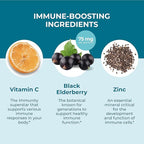Hyland's Kids Organic Elderberry Plus Gummies, Organic Black Elderberry with ZINC and Vitamin C, Immune Support for Children, 48 Vegan Gummies (Pack of 2)