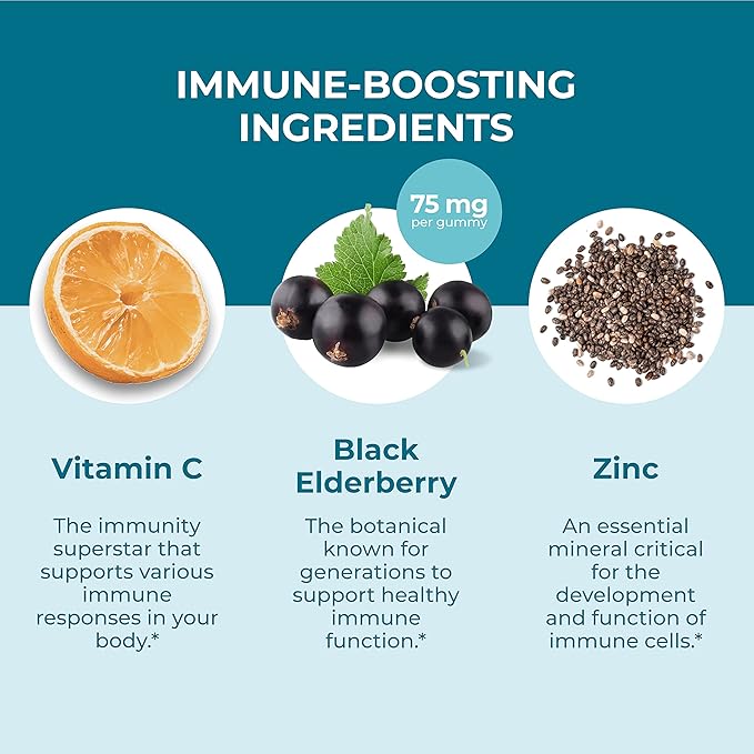 Hyland's Kids Organic Elderberry Plus Gummies, Organic Black Elderberry with ZINC and Vitamin C, Immune Support for Children, 48 Vegan Gummies (Pack of 2)