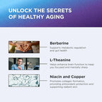 DR. EMIL NUTRITION NAD+ Boost - Nicotinamide Riboside Supplement for Longevity, Healthy Aging & Cellular Regeneration - NAD Supplement with with Berberine, L-Theanine & Niacin Twin Pack
