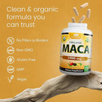 NaturaLife Labs Organic Maca Root – Black, Red & Yellow – 1900 mg per Serving – 150 Capsules – Gelatinized Peruvian Maca – Non-GMO, Gluten-Free, Vegan (2 Pack)