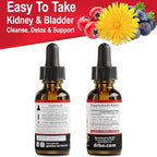 Kidney Support Supplement Bladder Health - Organic Renal Cleanse Supplements Drops Juniper Berry Cleavers Dandelion - Renal Kidney Cleanse Detox Urinary Tract Herbal Bladder Support Flush Kidneys 1oz