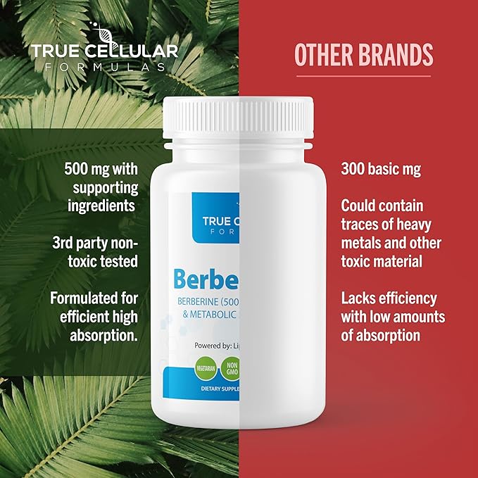 BerberBurn+: Berberine Supplement, Magnesium & Chromium Capsules for Daily Wellness & Energy, Boost Vitality and Maintain Balance, Essential Nutrients for Health, 60 Count