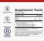 Metagenics SPM Active One Daily Supplement - Next Generation Omega Fish Oil with Pro Resolving Mediators for Joint Soreness & Soothing Relief* - Sustainably Sourced - Gluten-Free - 14 Softgels