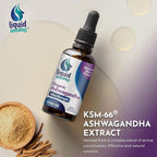 Ashwagandha KSM 66 Drops, 2000mg Natural Berry Flavor - Ashwagandha Supplements for Women, Ksm-66 Ashwaganda Extract for Immune Support, Performance, Heart Health - 60 Servings (Pack of 2)