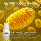 Liquid CoQ10 120mg of Bioavailable Ubiquinone for Superior Absorption. Support Heart, Bone, and Skin Health with a Natural Antioxidant. 35 Servings in a Convenient 17 oz Bottle.