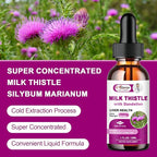Liver Health Support Liquid 2 Pack,600mg Milk Thistle 80% Silymarin Extract & 250mg Dandelion Root Extract, Liver Cleanse Detox & Repair Fatty Liver Formula, Vegan, Non-GMO and All-Natural
