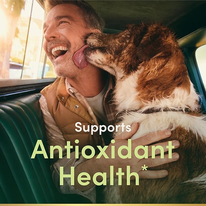 Nature's Bounty Vitamin E 1000 IU Softgels, Supports Antioxidant Health & Immune System, 1 Serving per Day, No Gluten, 60 Softgels (Pack of 3)