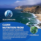 Liposomal Fisetin 200mg Liquid Gummies + Organic Blue Spirulina Gummies