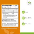 Terry Naturally CuraMed 750 mg - Antioxidant Supplement for Brain & Heart Health - Supplement with High-Potency Curcumin Complex - Kidney, Liver & Immune Health Support - 120 Softgels (Pack of 2)