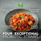 – Daily Capsules of Premium Fermented Kimchi - Vegan & Natural Nutritional Supplement - Probiotics for Gut Health & Immune Support – Enhance Energy, Focus, Skin and Hair Health