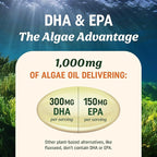 Vegan Omega 3 Algae Oil | Plant Based DHA EPA | Sustainably Sourced, No Carrageenan, Non GMO | Heart, Brain, and Eye Health | Fish Oil Alternative | Algae Omega 3 Supplement | 120 Softgel Capsules