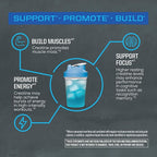 Creatine Monohydrate Powder Micronized PreWorkout Recovery Supplement | Support Muscle Building, Strength Training, Cognition | Vegan & Keto Friendly Easily Mixes (50 Servings) Blue Raspberry Flavored