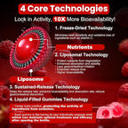Alpha Lipoic Acid Gummies 2000mg Triple Strength Neuropathy Supplements - Liposomal ALA Complex for Brain & Liver & Skin and Nerve* Support, Sugar Free, 60 Counts, Raspberry Flavor