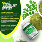 Toplux Moringa Capsules 1200mg – Pure Moringa Powder High Potency Leaf Extract Green Superfood Rich in Antioxidant, for Energy & Immune Support, Vegan Non-GMO 90 Capsules