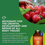 HEALTHFORCE SUPERFOODS Truly Natural Vitamin C - Immune Support Supplement with Camu Camu Berry - Vitamin C Supplement for Immune Health - Vegan, Non-GMO - 400 Grams, 67 Servings