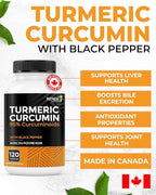 Renew Actives Turmeric Curcumin with Black Pepper – 600MG Turmeric Root, 100MG Curcuminoids per 2 Capsules – Supports Digestion, Liver Health, Joint Relief & Mobility – Made in Canada – 120 Capsules