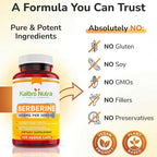 Kaibro Nutra Berberine Supplement 1000mg, Berberine HCL for Immune System, Glucose Support, Circulatory & Gastrointestinal Health, Vegan & Gluten-Free, 120 Capsules